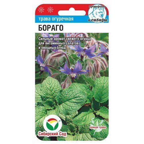 Семена Огуречная трава Бораго Сибирский сад 63806 0,5 гр