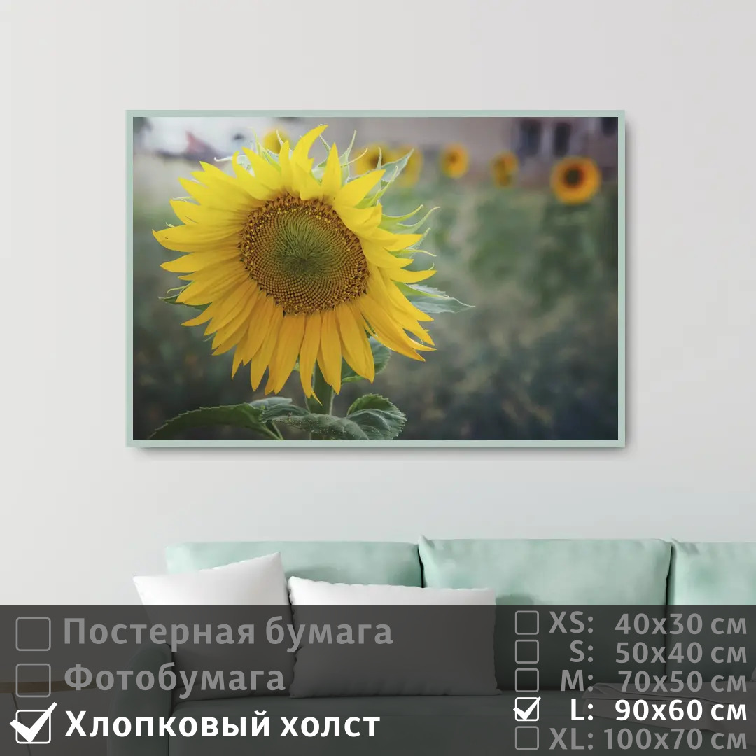 

Постер на холсте ПолиЦентр Подсолнух 90х60 см, Подсолнух