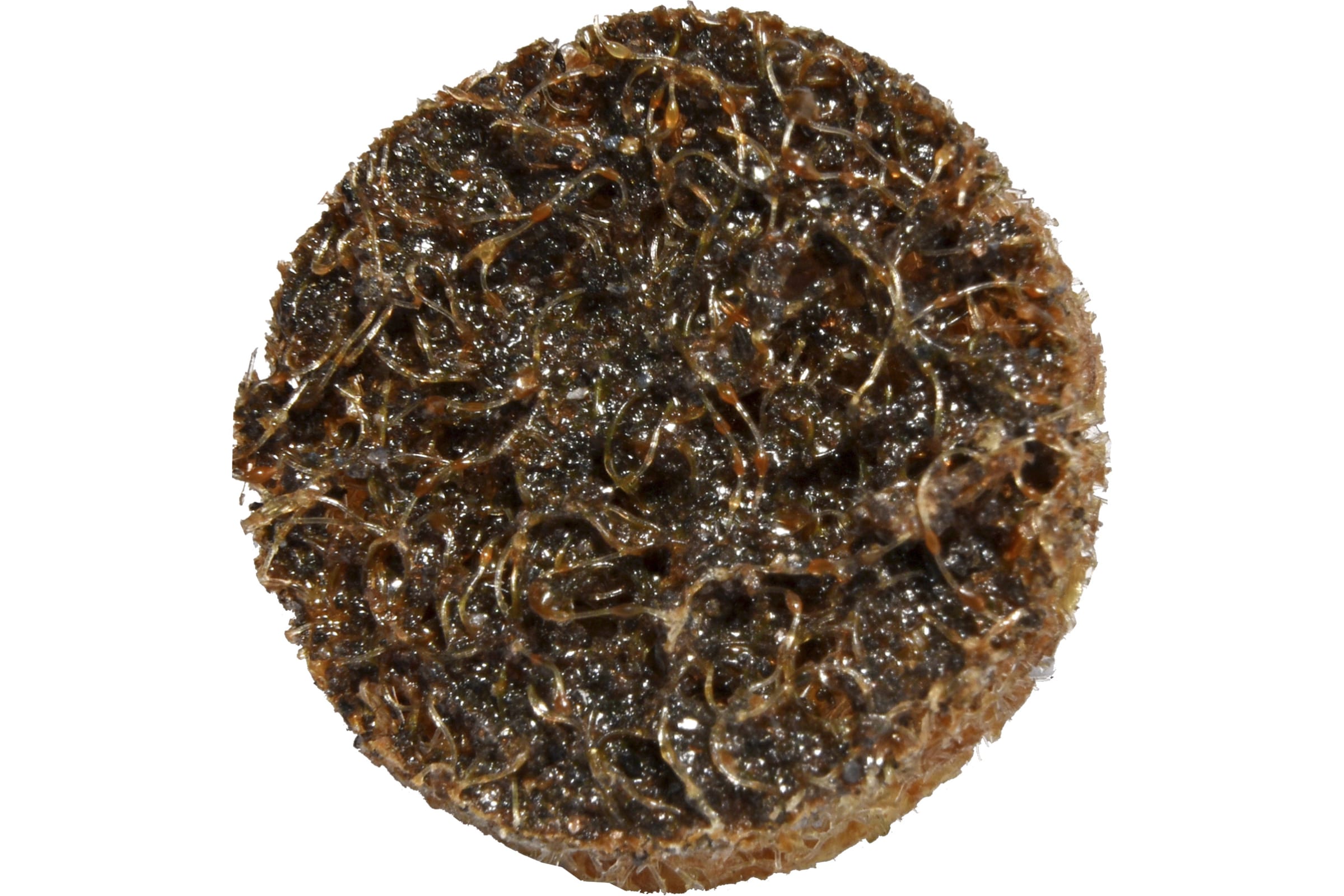 

ABRAFORM Шлифовальный круг DIABLO R-TYPE SCB COARSE D20mm RTYPE-SCB-COARSE-20