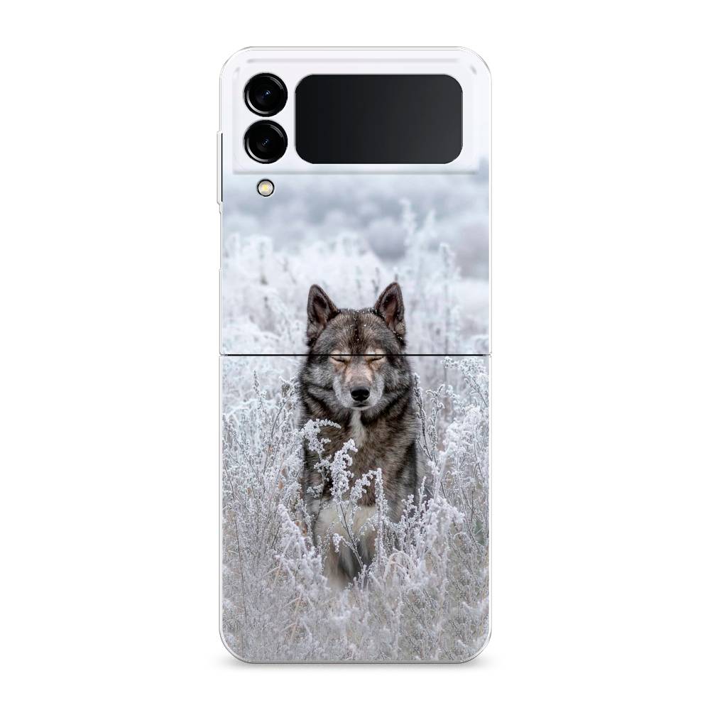 

Чехол Awog "Волк в поле" для Samsung Galaxy Z Flip 3, 2103740-1