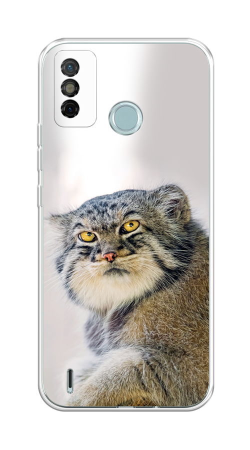 

Чехол на Tecno Spark 6 Go "Кот манул 1", Серый;белый;желтый, 300250-1