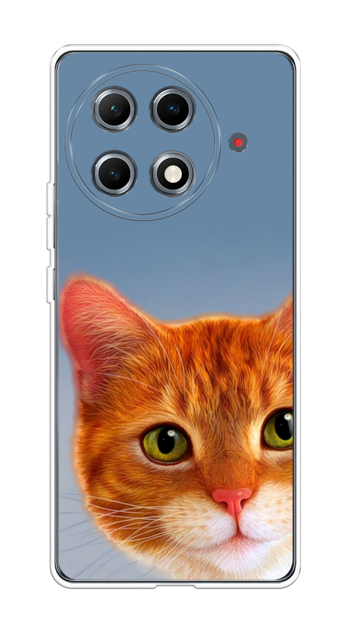 

Чехол на Tecno Camon 30S Pro Любопытный котик, Коричневый, 309550-1