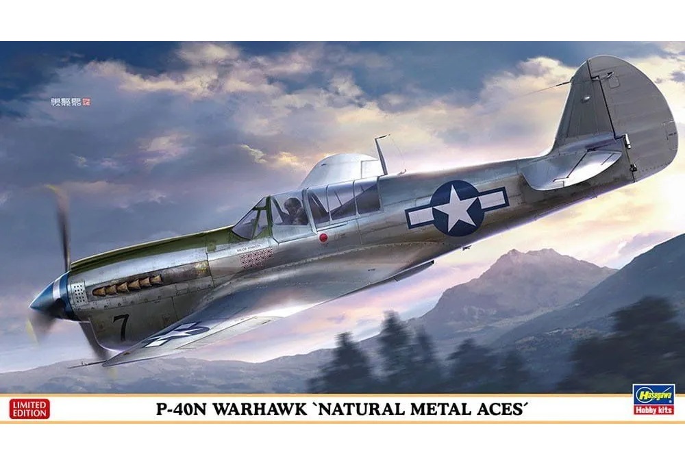 

07516-Американский истребитель P-40N WARHAWK NATURAL METAL ACES