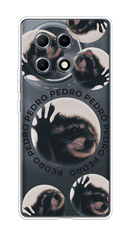 

Чехол на Tecno Camon 30S Pro Pedro енот, Черный;бежевый;прозрачный, 309550-1