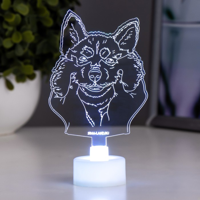 

Светильник Risalux Хаски LED RGB от батареек LR41