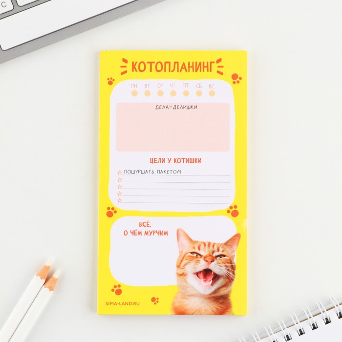 

Планинг с отрывными листами, 50 л «Кот»