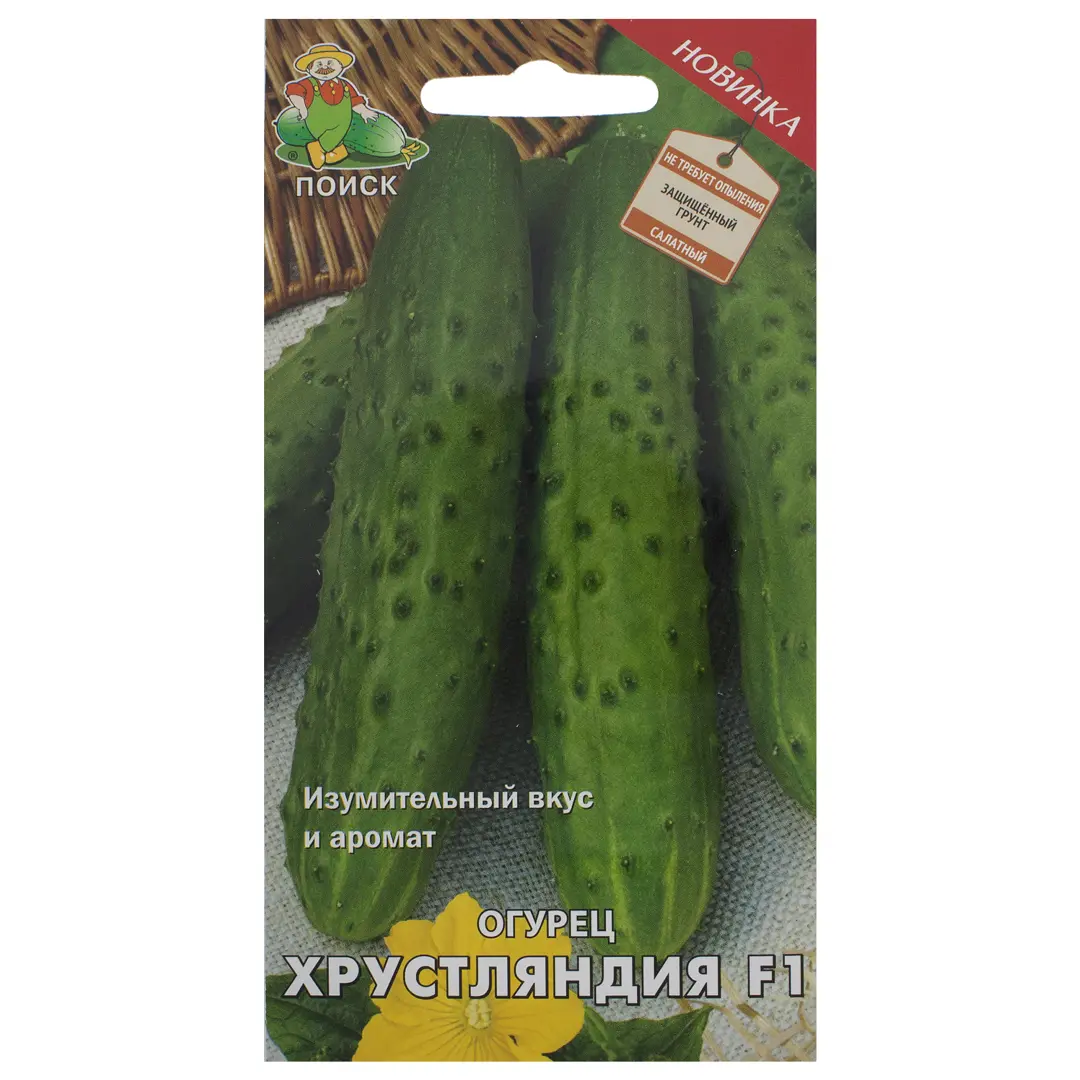 

Семена огурец Хрустляндия F1 Поиск SSS-18356451 1 уп.
