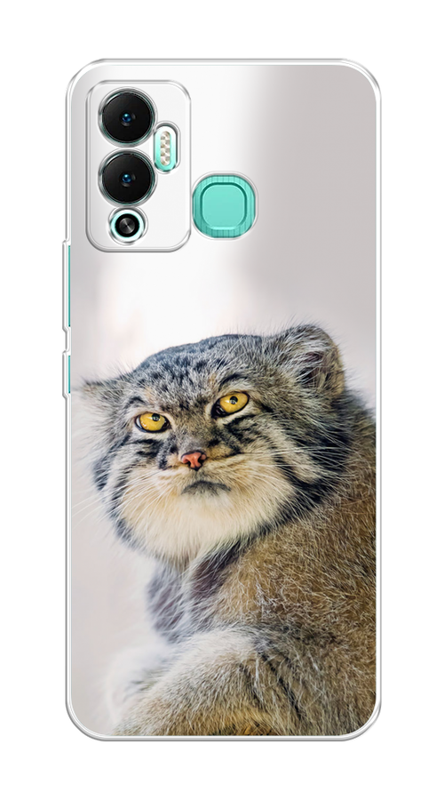 

Чехол на Infinix Hot 12 Play "Кот манул 1", Серый;белый;желтый, 3101750-1