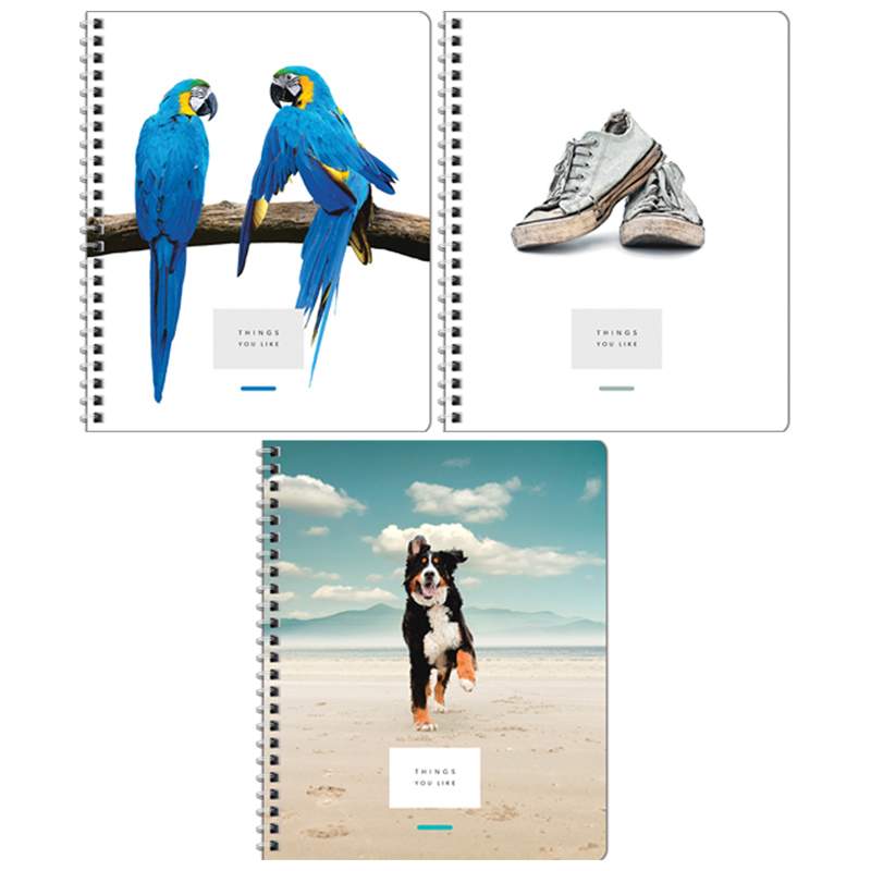 

Тетрадь Artspace, 96 л., спираль, в клетку, арт. 245159, 12 штук.