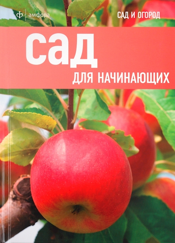 

Сад для начинающих