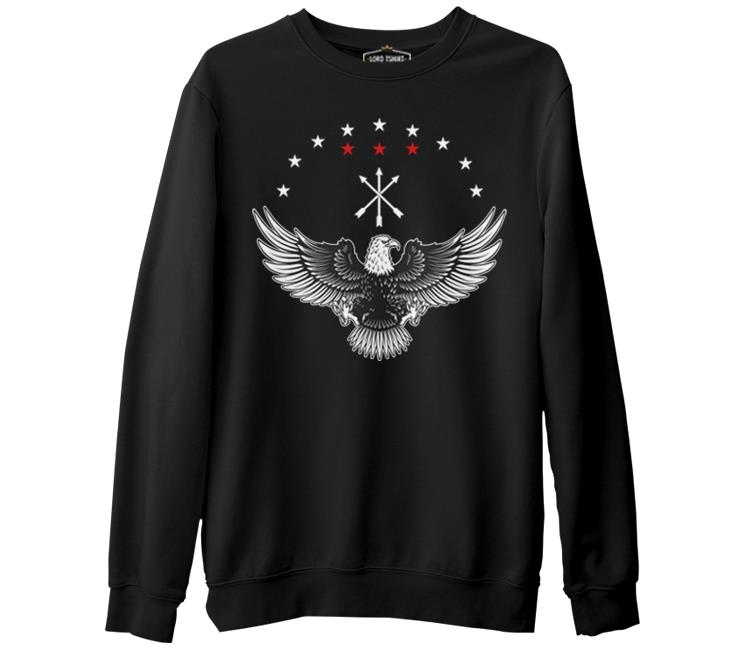 

Свитшот мужской Lord Tshirt SK-1711 черный S (доставка из-за рубежа), SK-1711