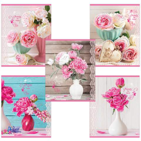 

Тетрадь Brauberg, 48 л., скрепки, в клетку, арт. 403050, 10 штук.