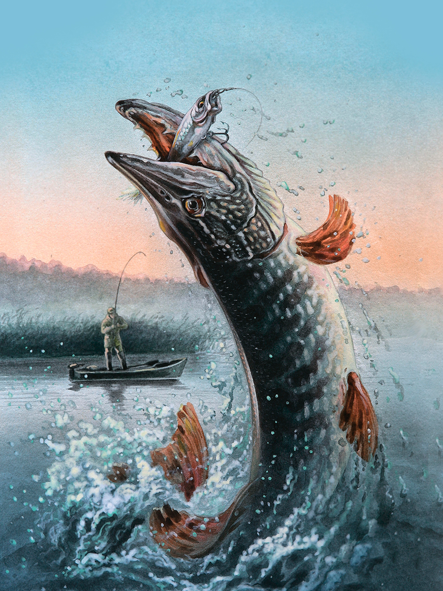 

Постер DRABS А2 Рыбак и щука