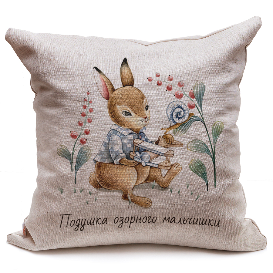 

Наволочка декоративная "Кролик/Подушка озорного мальчишки", 45 на 45 см Счастье в мелочах, Наволочка декоративная "Кролик/Подушка озорного мальчишки", 45 на 45 см