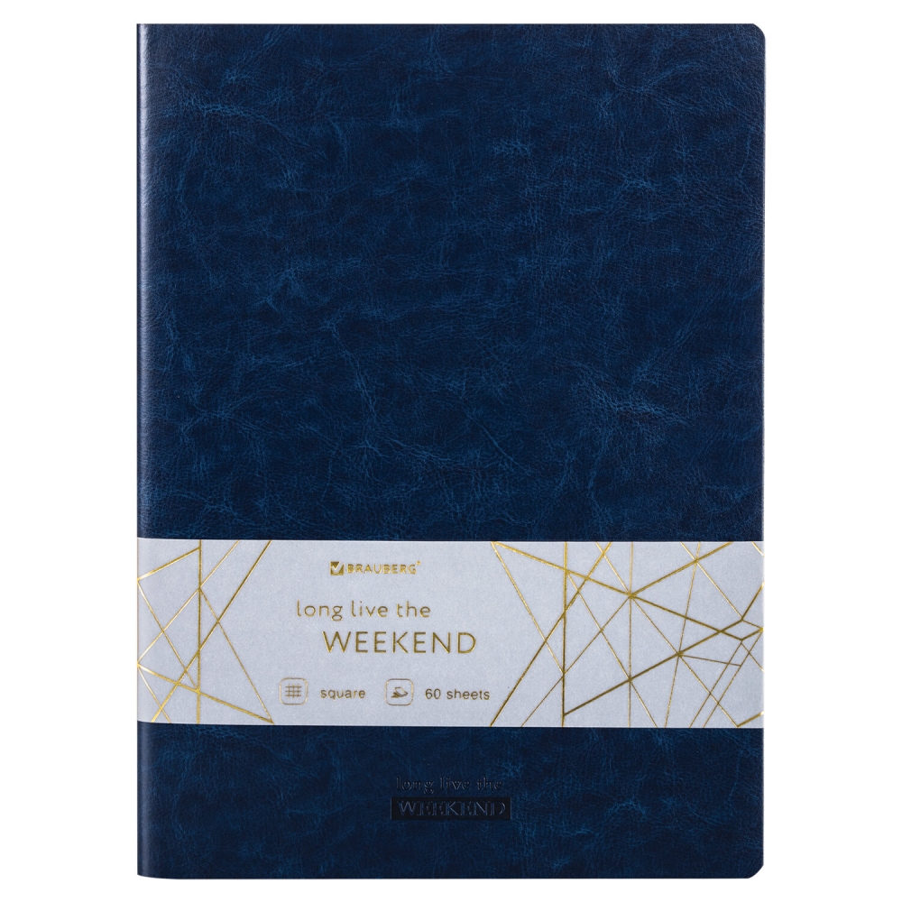 

Тетрадь 60 л BRAUBERG VIVA в клетку А4 210х297мм, 2 шт, 403906.302187