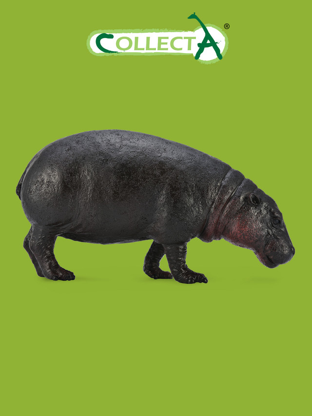 Фигурка животного Collecta, Карликовый бегемот