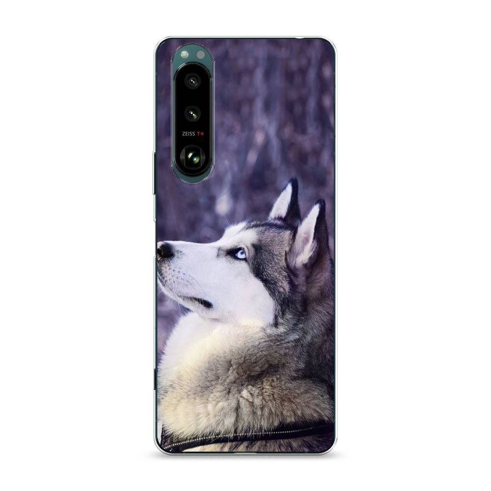 

Чехол на Sony Xperia 1 III "Хаски 1", Фиолетовый;белый, 54850-1