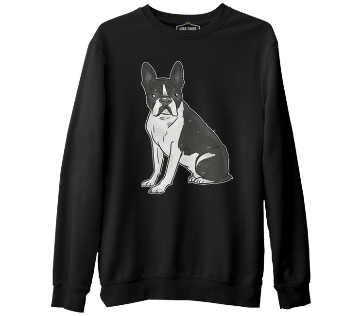 

Свитшот мужской Lord Tshirt SK-1796 черный S (доставка из-за рубежа), SK-1796