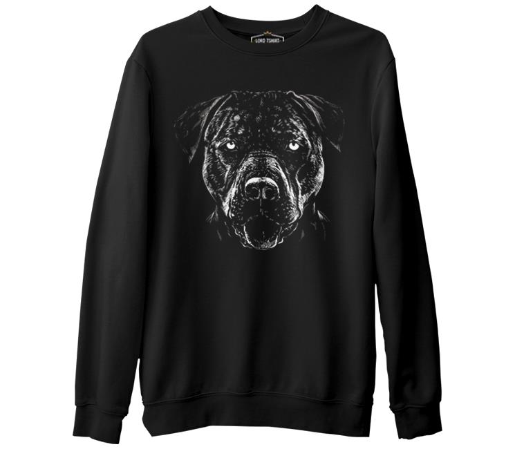 

Свитшот мужской Lord Tshirt SK-1798 черный S (доставка из-за рубежа), SK-1798