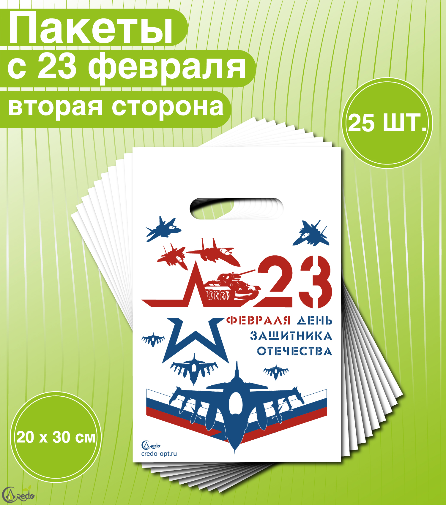 Пакеты подарочные Credo на 23 Февраля, 20 x 30 см, 10 пакетов