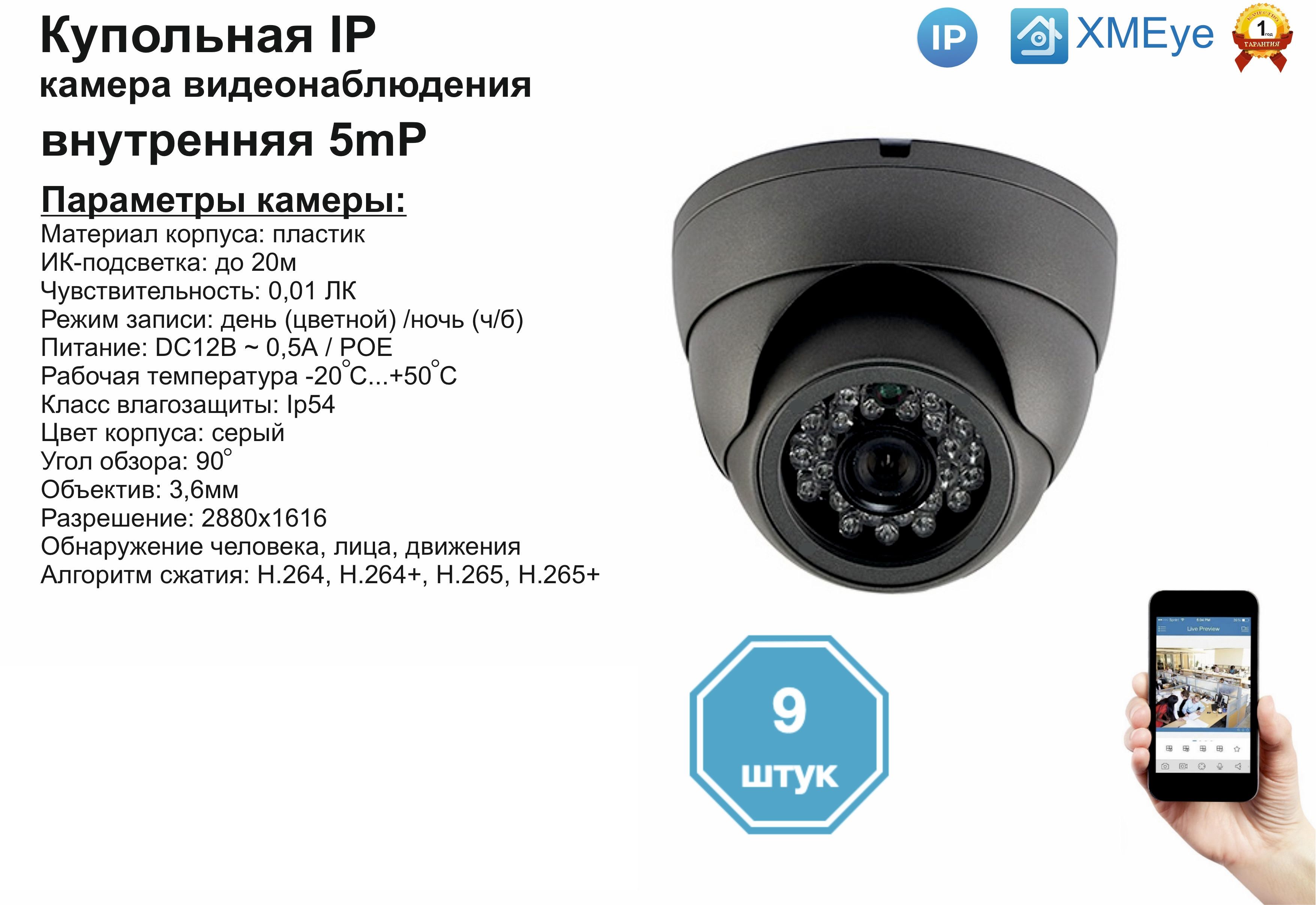 

(9шт) DVS300IP5MP(POE). Внутренняя IP камера 5мП с ИК до 20м., Серый, DV300IPPOE