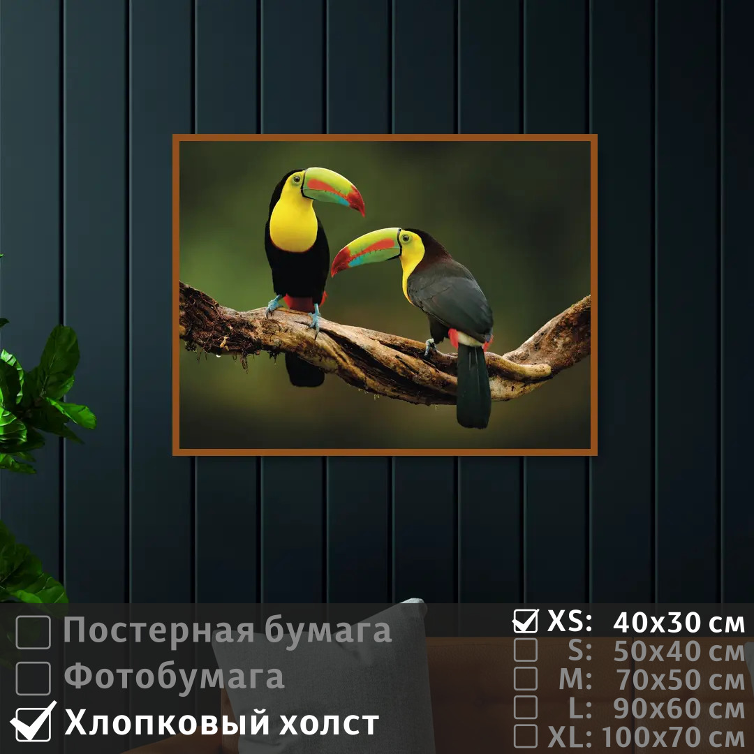 

Постер на холсте ПолиЦентр Два тукана на ветке 40х30 см, ДваТуканаНаВетке