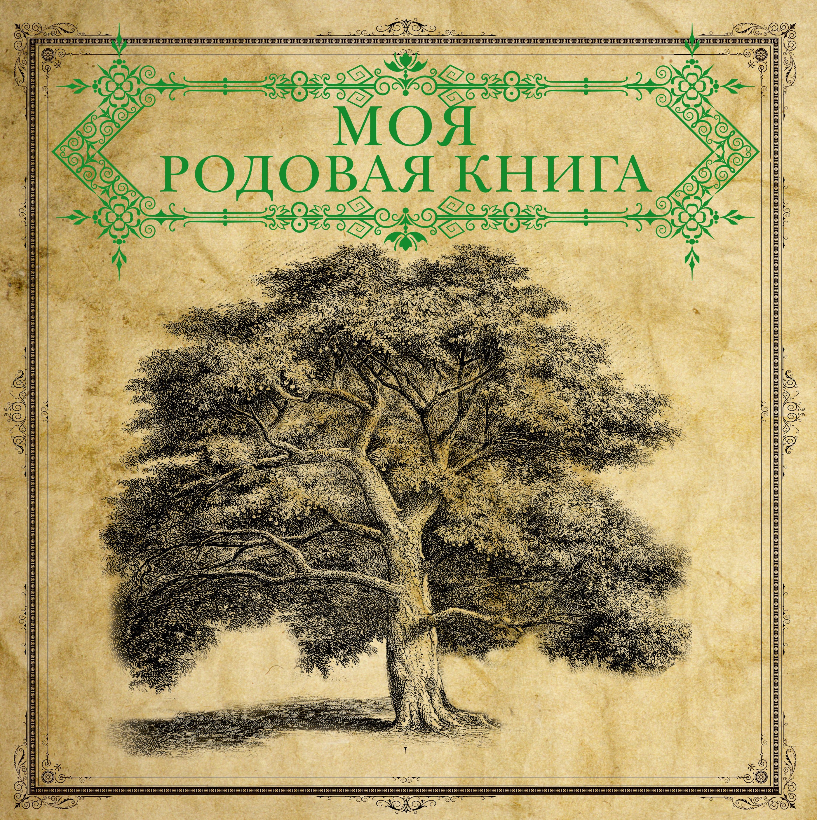 

Моя Родовая книга