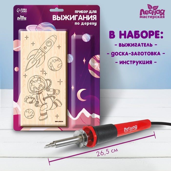 

Набор для выжигания и росписи по дереву «Космос»