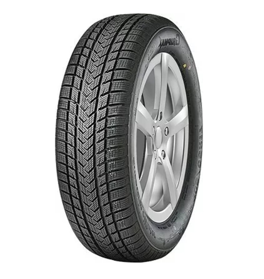 

Шина GRIPMAX SureGrip eWinter 235/55R17 103V XL BSW