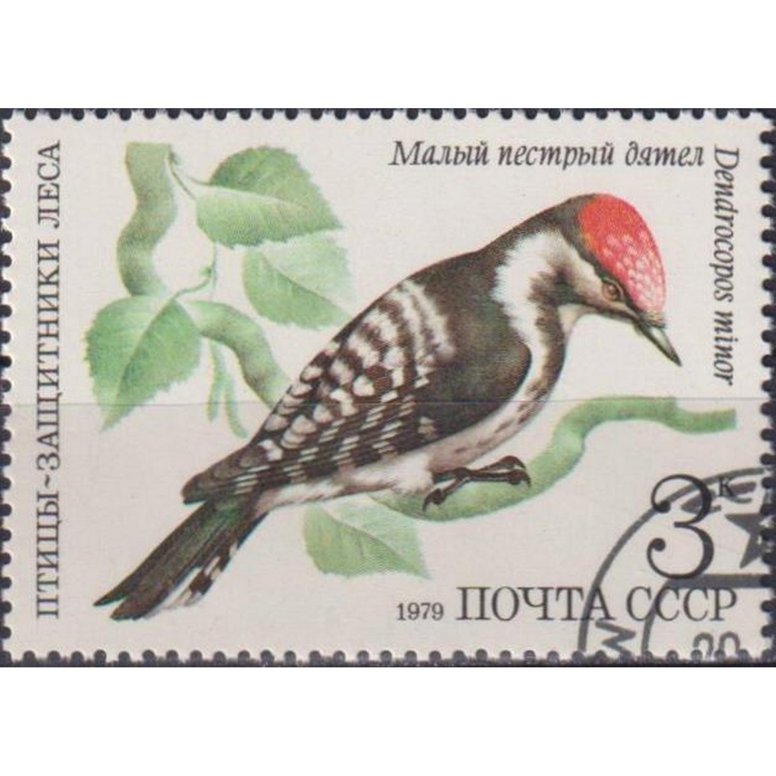 

Почтовые марки СССР Защитники леса - Малый пёстрый дятел Птицы, su4680