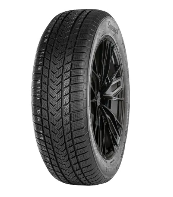 

Шина GRIPMAX SureGrip eWinter 205/50R17 93V XL BSW, SureGrip eWinter XL BSW