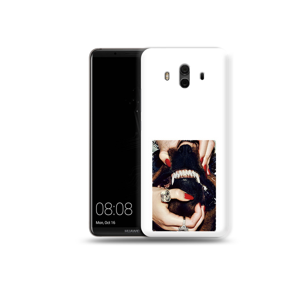 

Чехол MyPads Tocco для Huawei Mate 10 маникюр (PT88364.53.457), Прозрачный, Tocco