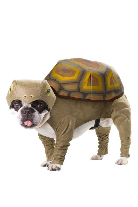 Костюм для собак California Черепаха, размер 2, коричневый