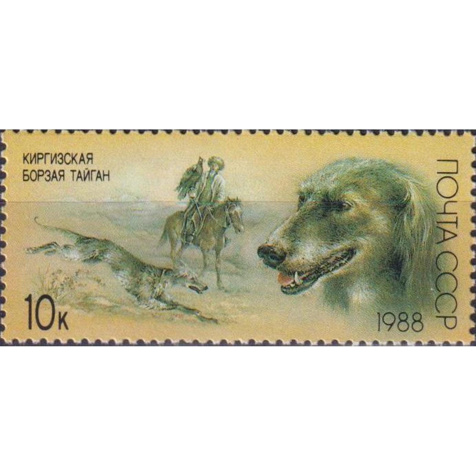

Почтовые марки СССР Киргизская борзая тайган Собаки, su5625