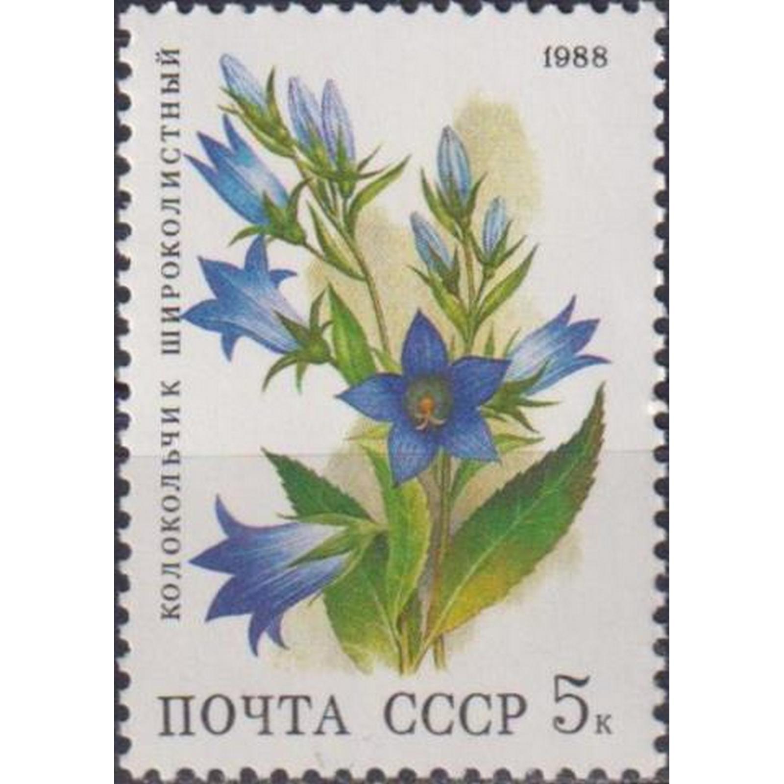 

Почтовые марки СССР Колокольчик широколистный Цветы, su5645