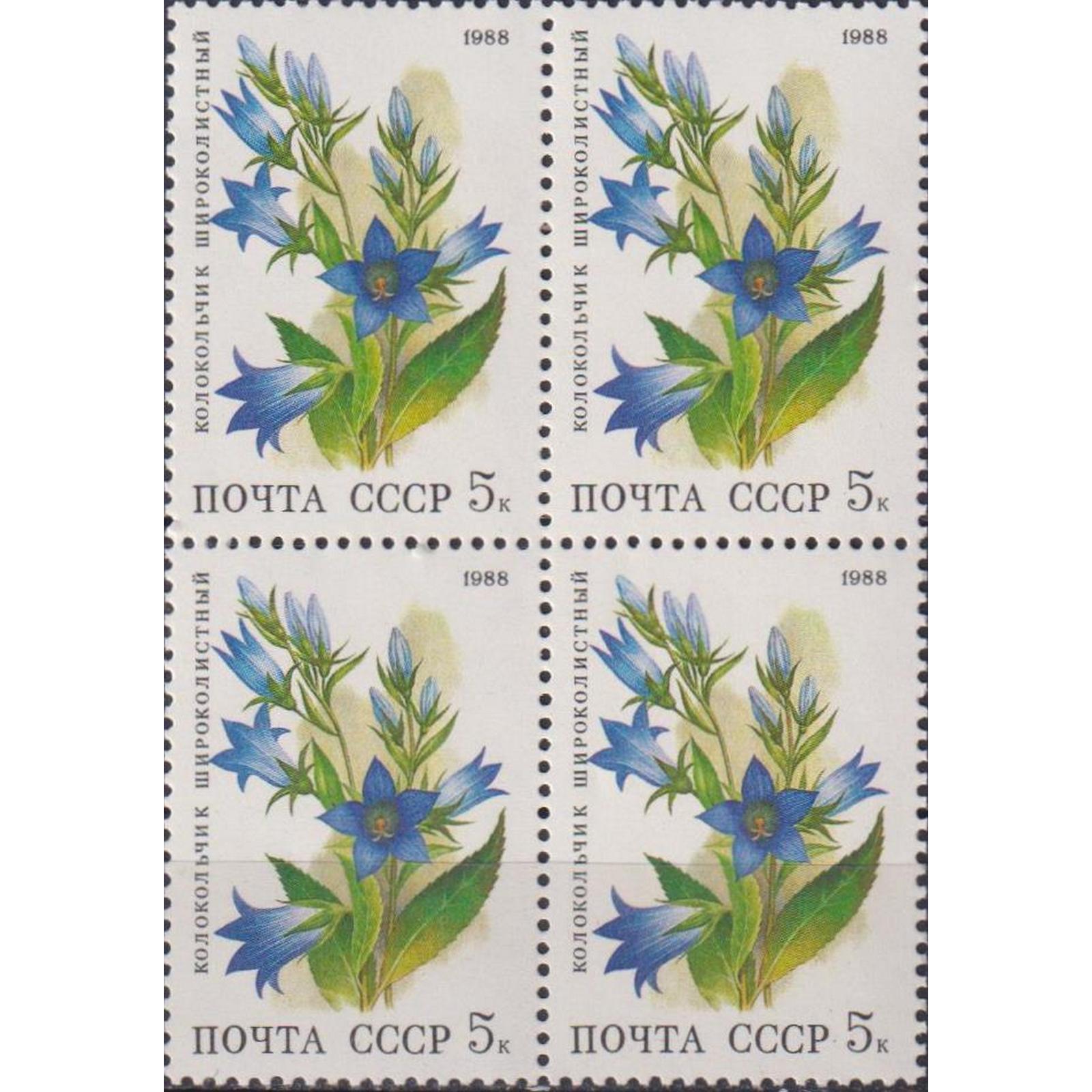 

Почтовые марки СССР Колокольчик широколистный Цветы, su5645