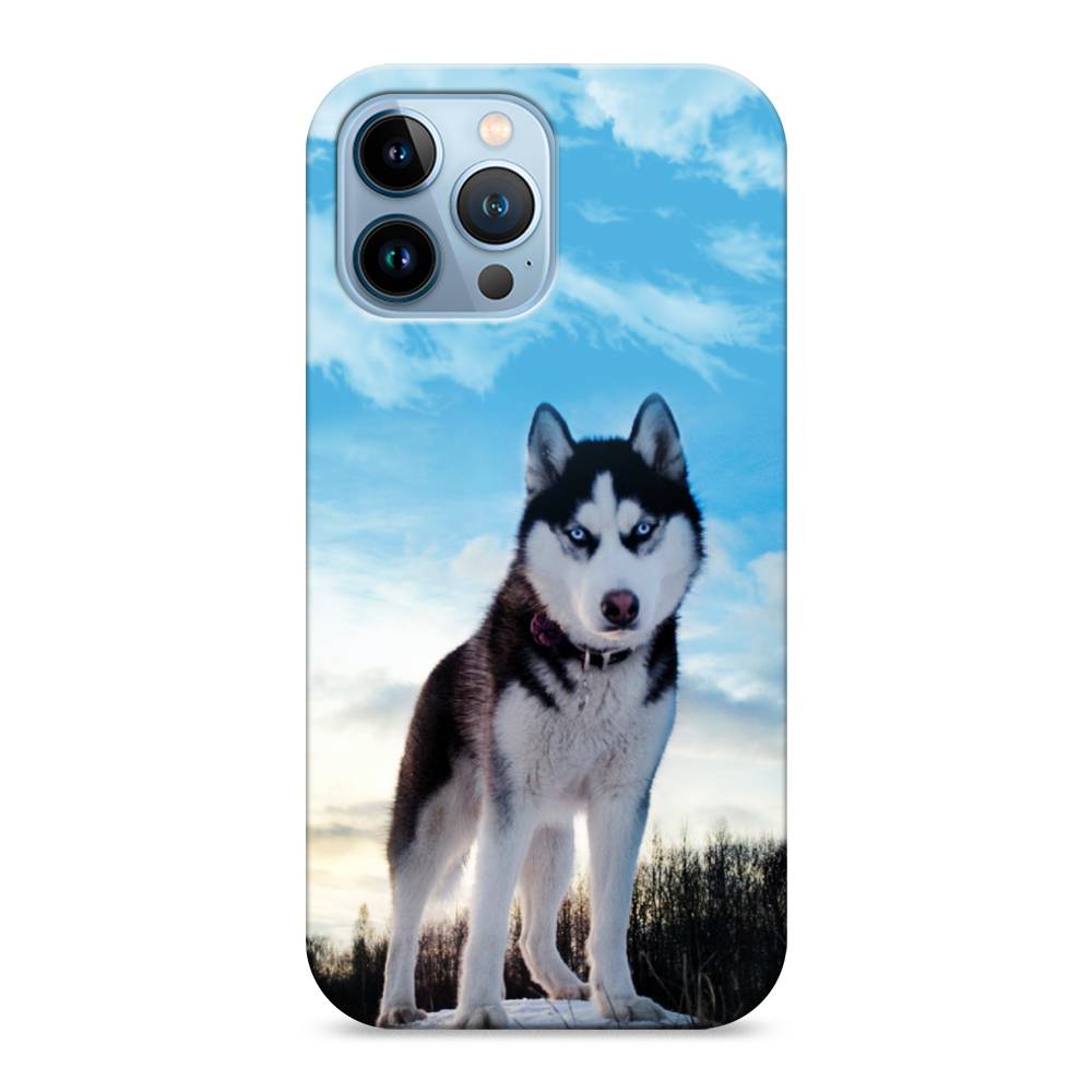 

Пластиковый чехол "Хаски 3" на Apple iPhone 13 Pro Max, 14420-1