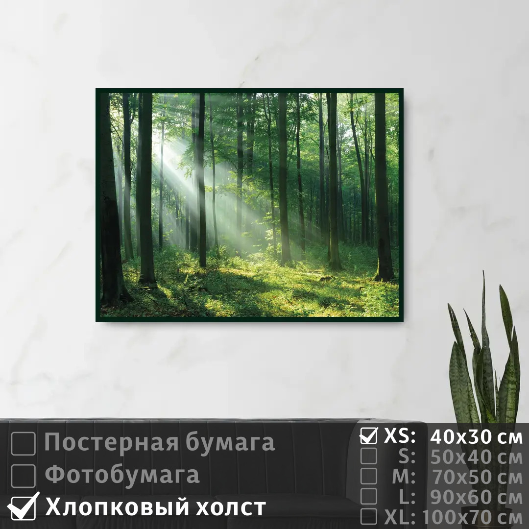 

Постер на холсте ПолиЦентр Лучи сквозь листву на рассвете 40х30 см, ЛучиСквозьЛиствуНаРассвете