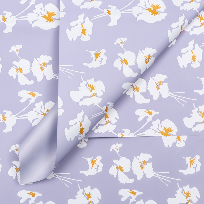 

Пленка для цветов матовая, "Fleur de lis", 57х57см, фиолетовый (20 шт.)