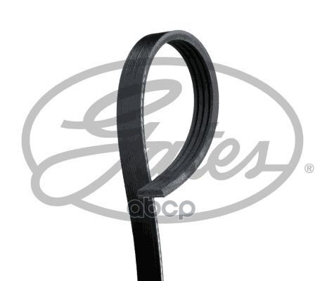 

Ремень Ручейковый Gates 4Pk 1615 Gates арт. 4PK1615
