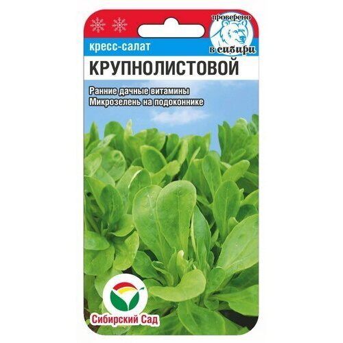 Семена Кресс-Салат Крупнолистовой Сибирский сад Раннеспелые 63771 0,5 гр
