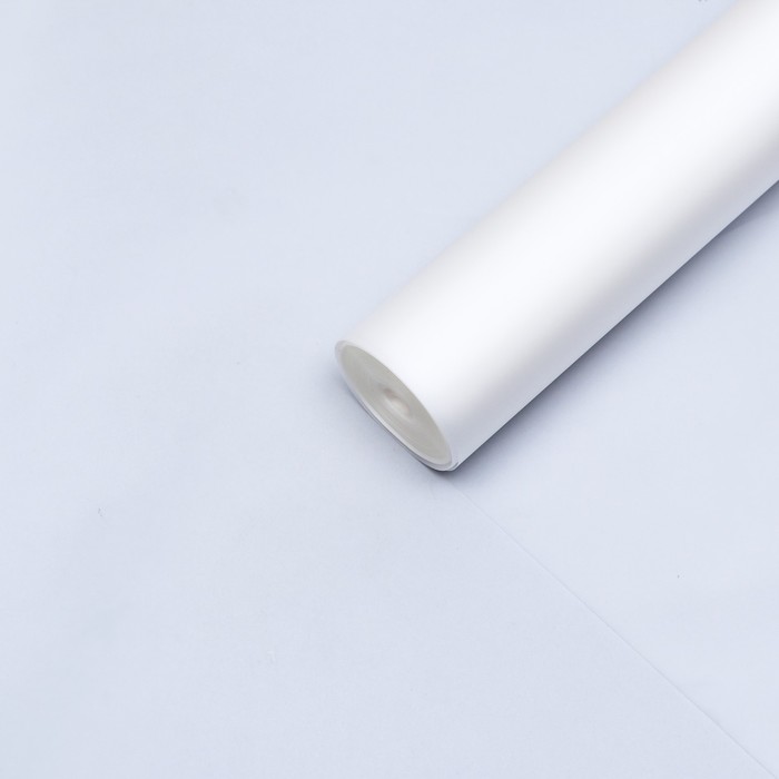 

Пленка матовая, 0,6 м х 39 м 1000 гр, Белый