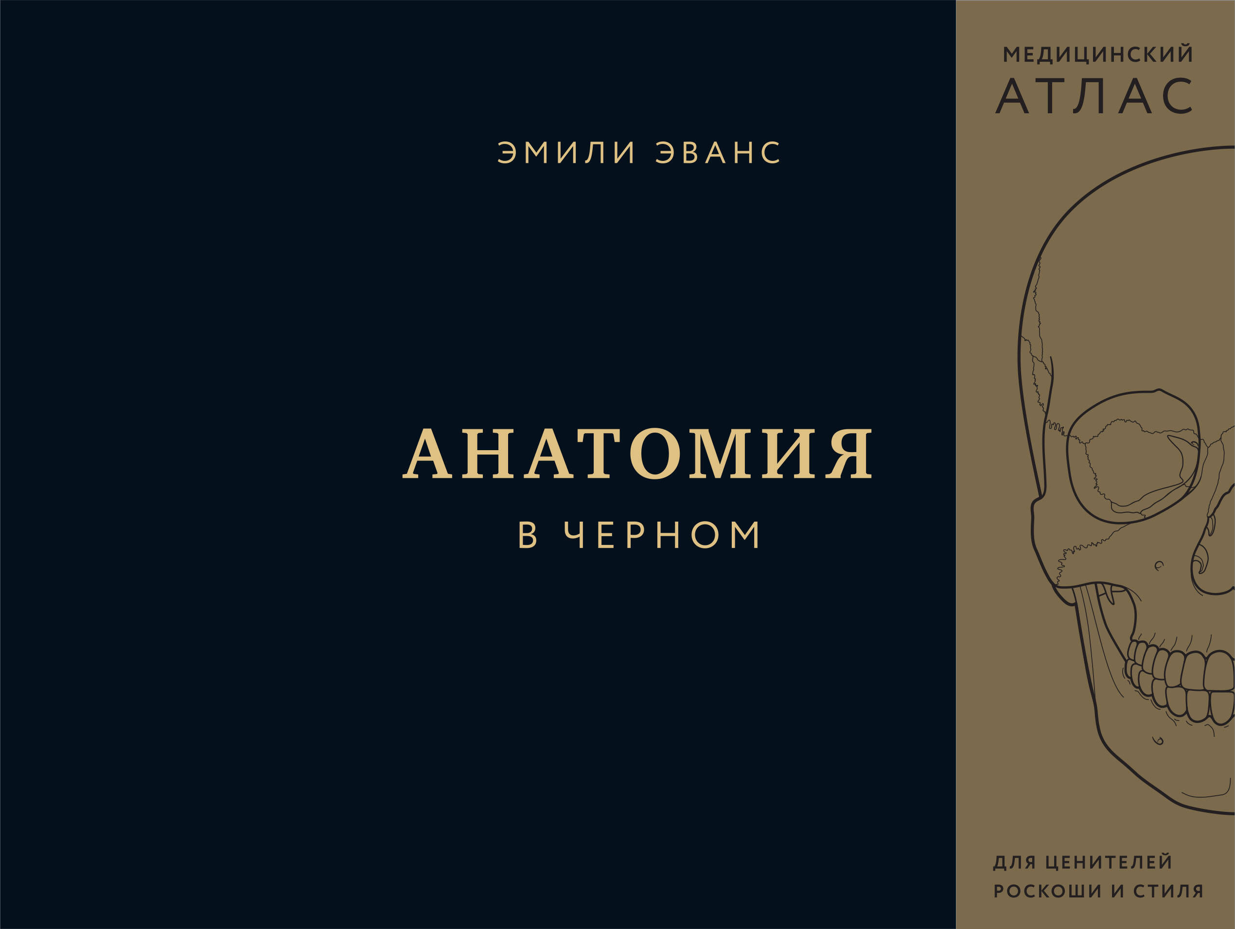 

Анатомия в черном Медицинский атлас для любителей роскоши и стиля
