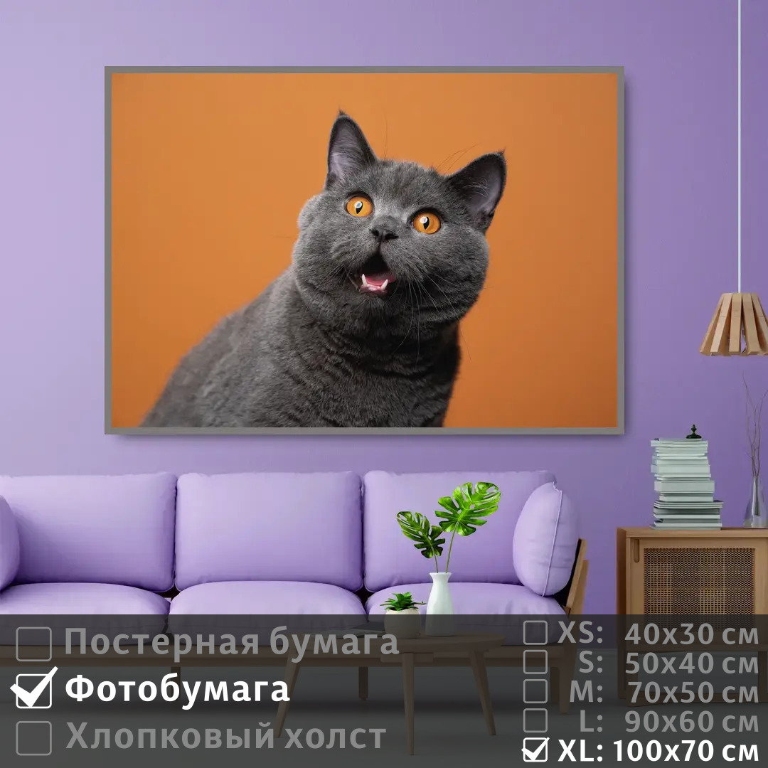 

Постер на фотобумаге ПолиЦентр Серый британский кот 100х70 см, СерыйБританскийКот1