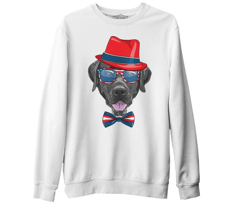 

Свитшот мужской Lord Tshirt BK-1222 белый S (доставка из-за рубежа), BK-1222