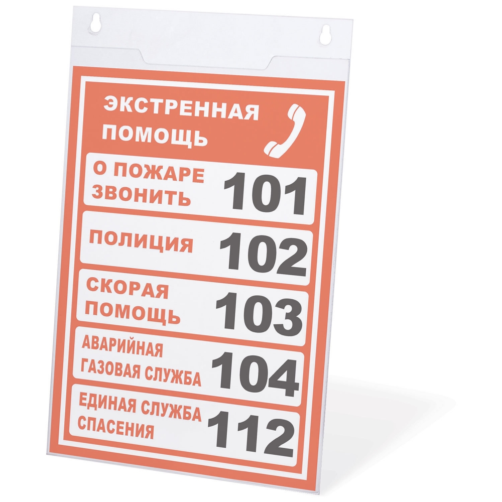 

Набор из 2 шт, Подставка настенная для рекламных материалов ВЕРТИКАЛЬНАЯ (210х297 мм)