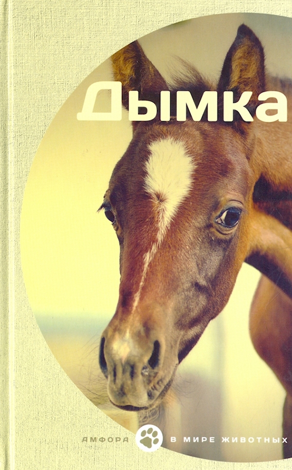 

Дымка