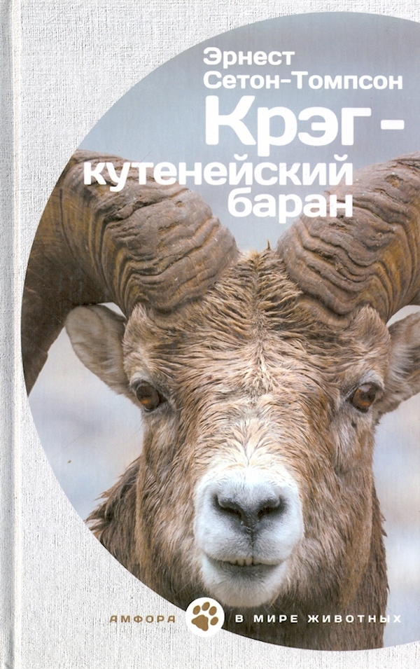 

Крэг-кутенейский баран