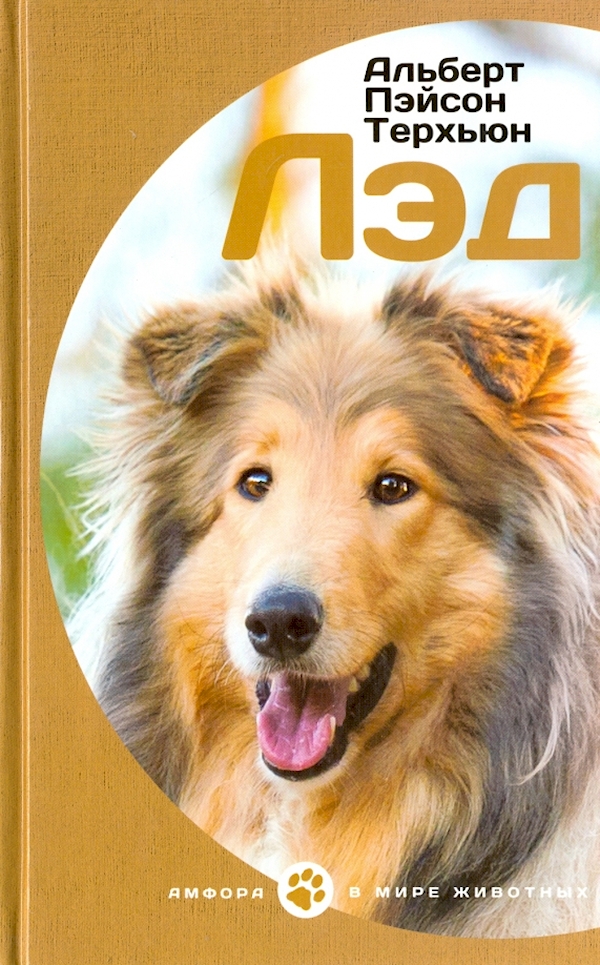 

Лэд