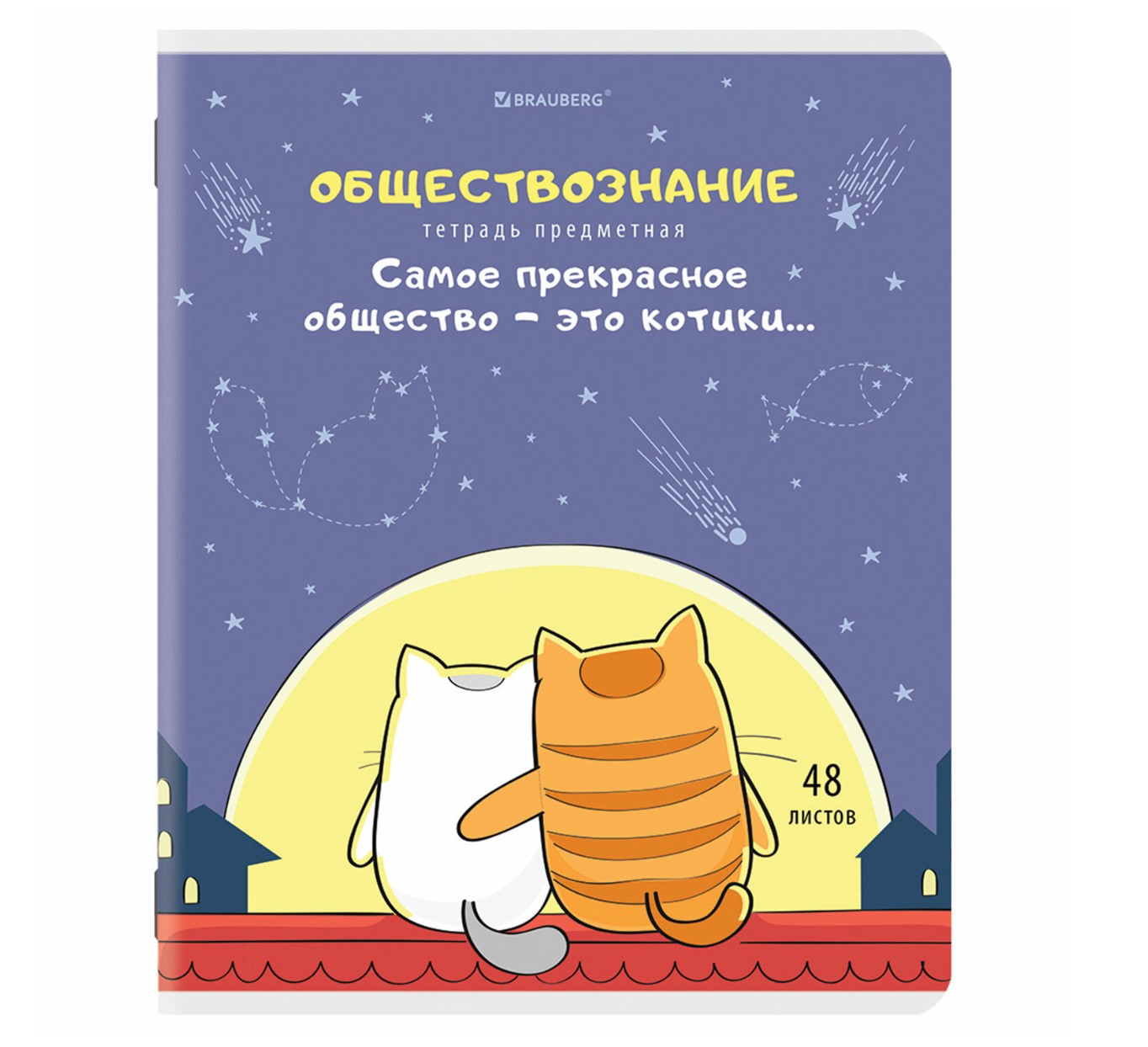 

Тетрадь предметная BRAUBERG КОТ-ЭНТУЗИАСТ 48 л., ОБЩЕСТВОЗНАНИЕ, клетка, 404557